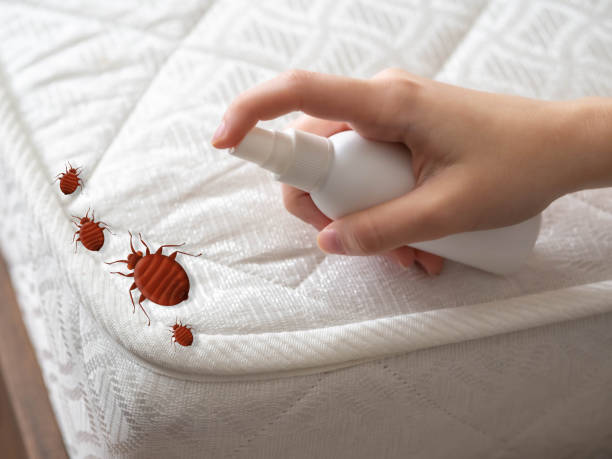 Best Emergency Pest Control  in East Chicago, IN