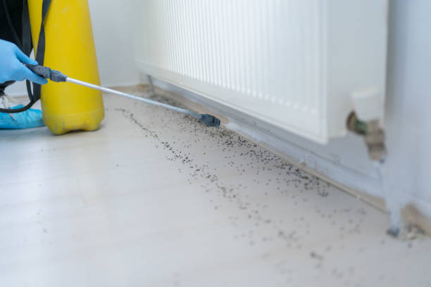 Best Pest Inspection Near Me  in East Chicago, IN