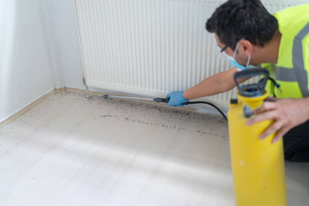 Pest Prevention Services in East Chicago, IN