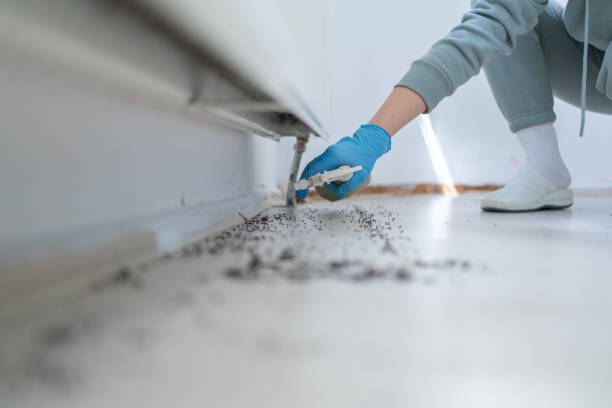 Reliable East Chicago, IN Pest Control Solutions