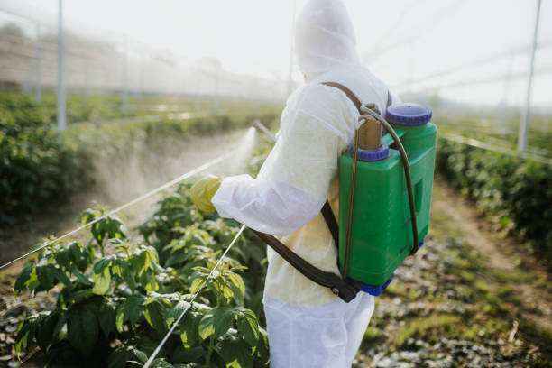 Best Wildlife Control Services  in East Chicago, IN